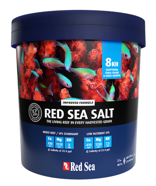 Red Sea Salt
