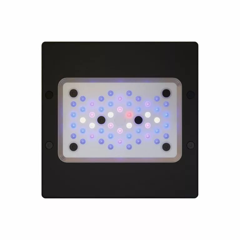 Radion XR15 G6 Blue LED Fixture