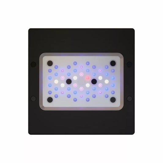 Radion XR15 G6 Blue LED Fixture