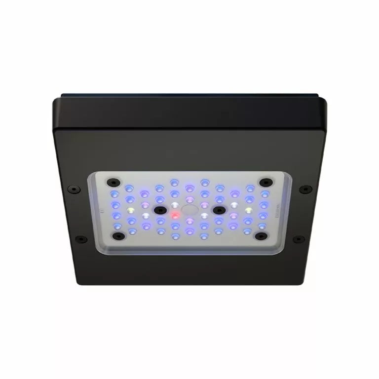 Radion XR15 G6 Blue LED Fixture