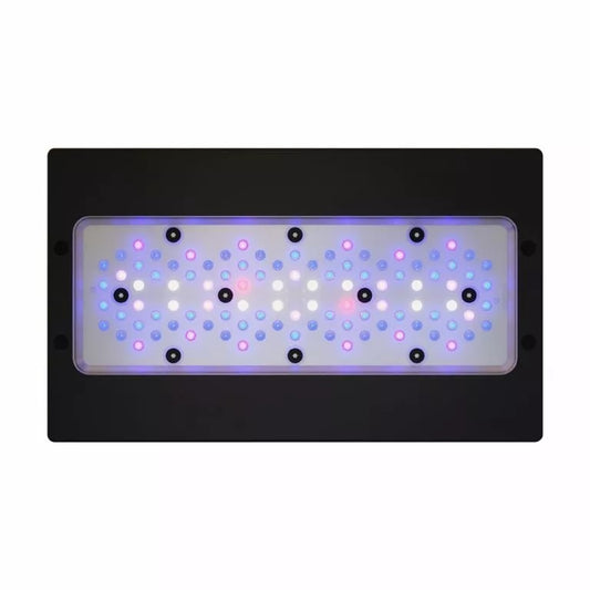 Radion XR30 G6 Blue LED Fixture