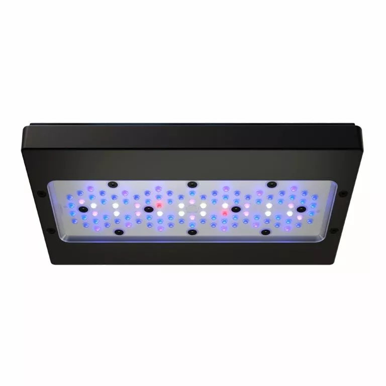 Radion XR30 G6 Blue LED Fixture
