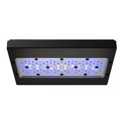 Radion XR30 G6 Blue LED Fixture