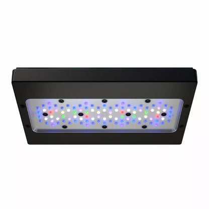 Radion XR30 G6 Pro LED Fixture